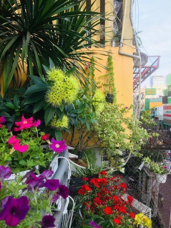 Son Tung - De Tham Street Khách sạn
