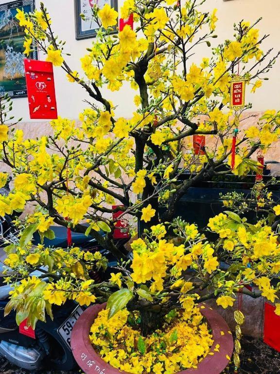 Khách sạn Son Tung - De Tham Street