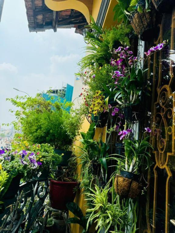 Son Tung - De Tham Street Khách sạn TP. Hồ Chí Minh